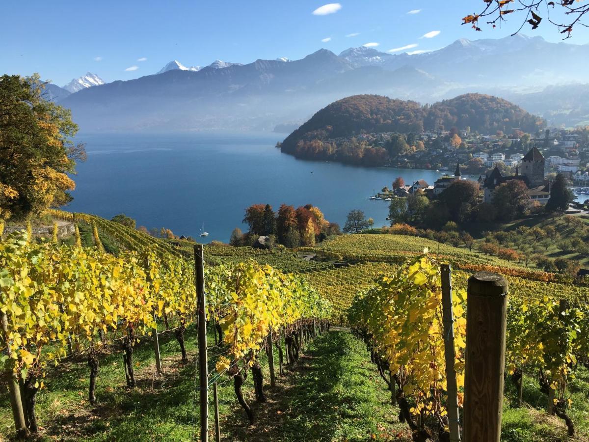 Seaside-Lodge, Top Apartment Spiez Bagian luar foto